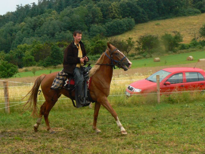 pista